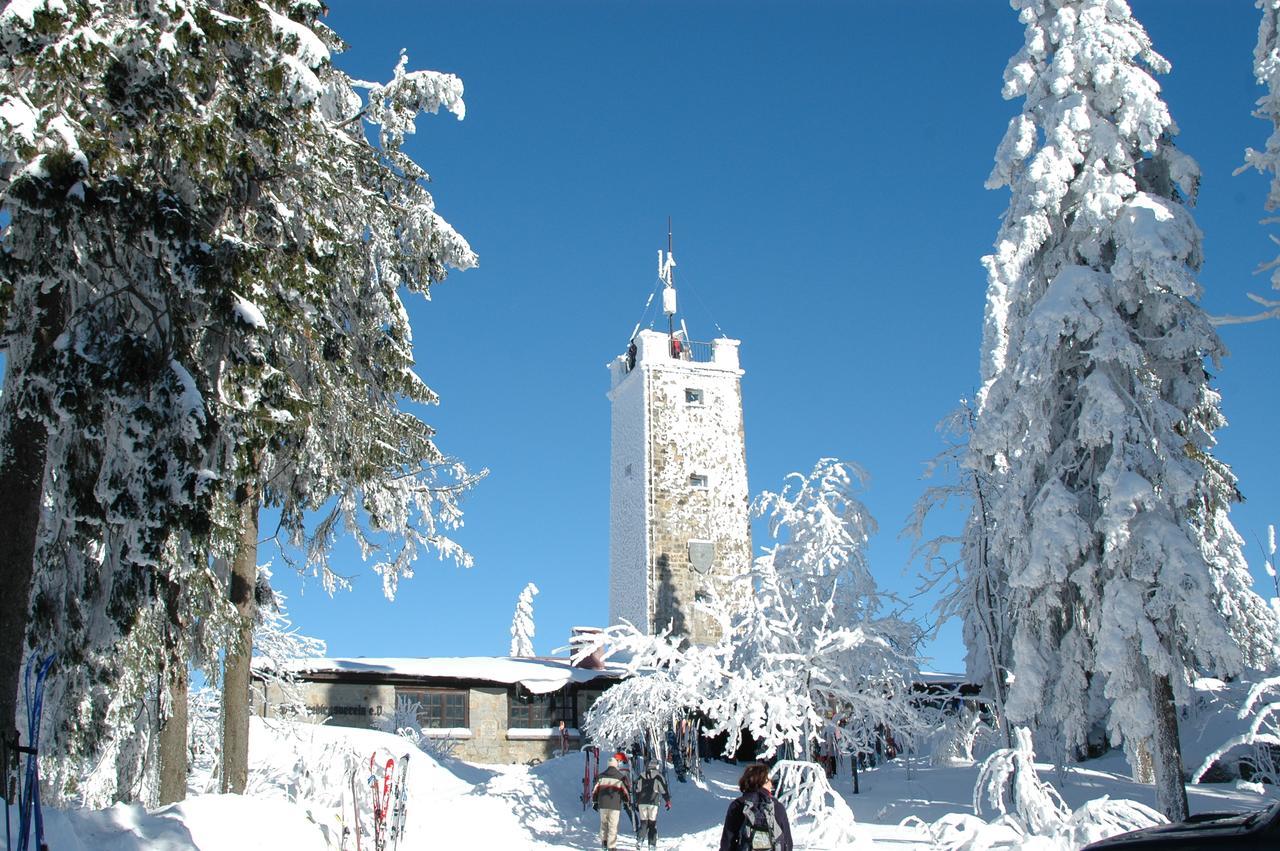 Landgasthof/Landhaus Waldlust 비쇼프스그룬 외부 사진